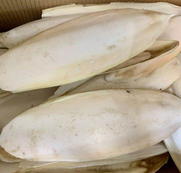 Bột nang mực nguyên chất (gói 100g)