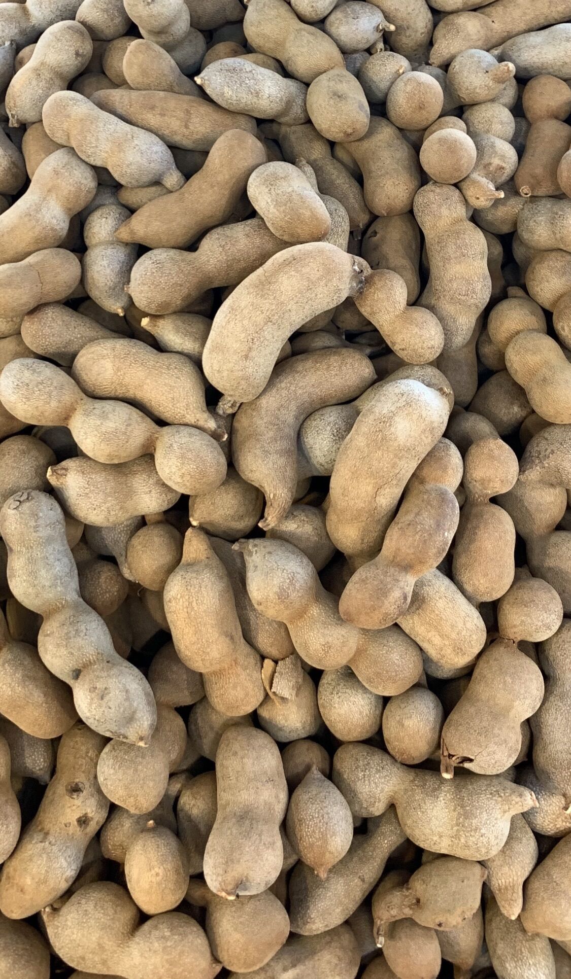 1kg me thái thái ngọt