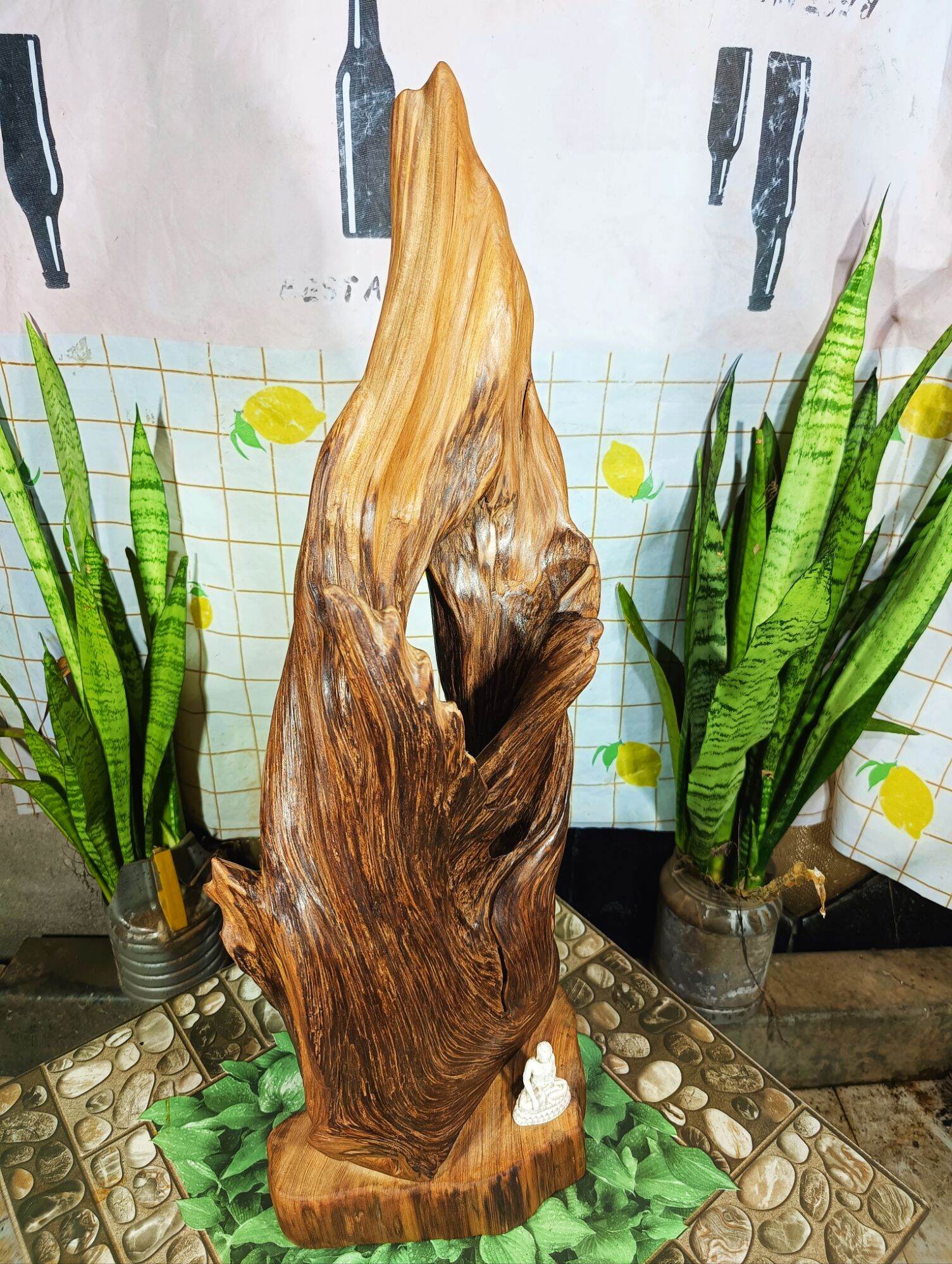 lũa ngọc am đỏ hà giang, chơi được nhiều thế