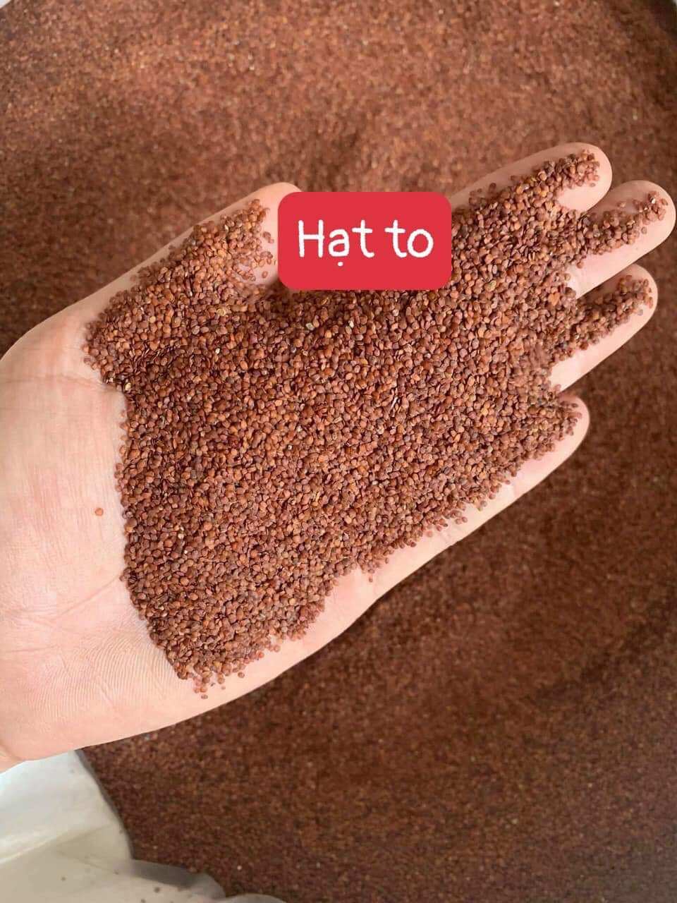 500g hạt ngũ hoa to hạt sạch kết dính tốt