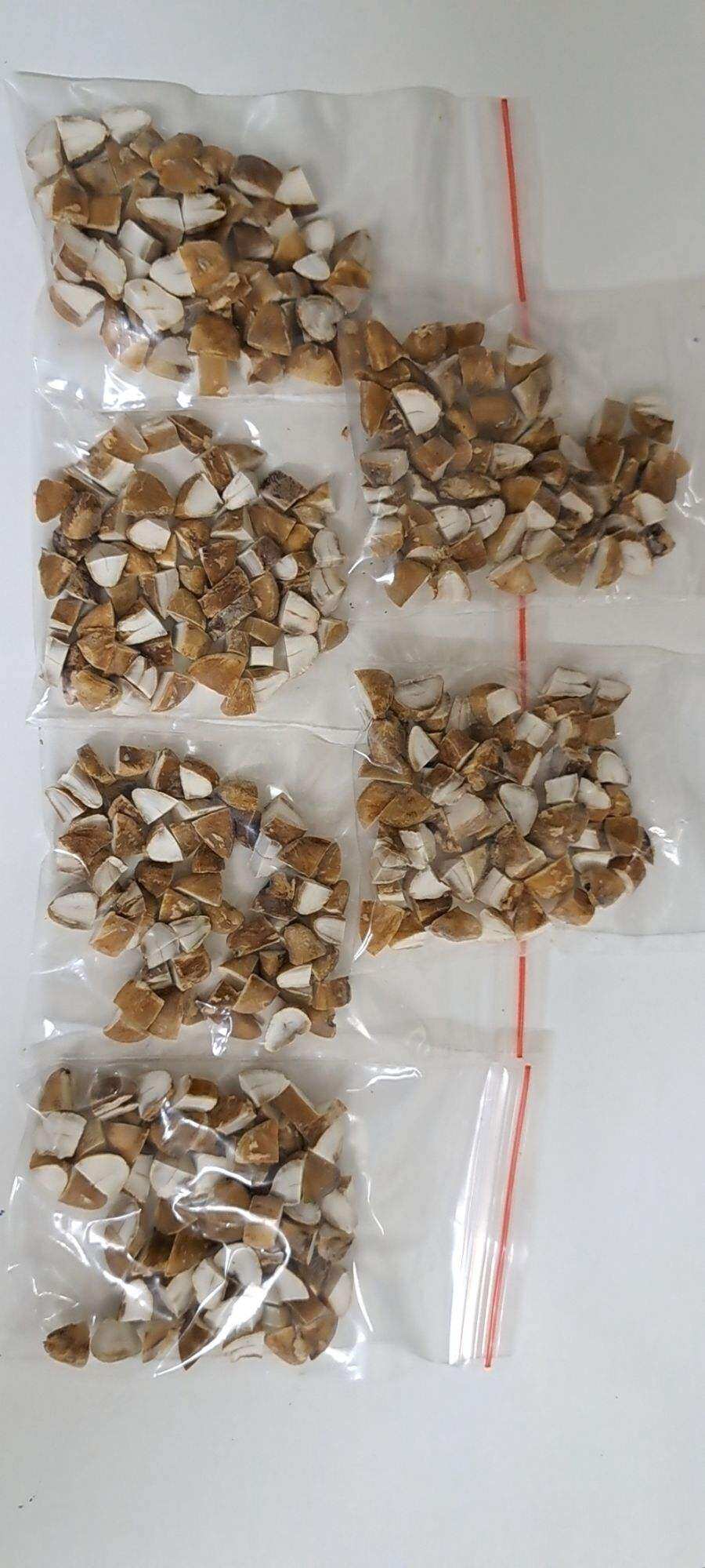 Hạt Sang 20 viên (Hạt Sành) dạ dày, đại tràng thuốc quý của người Mông