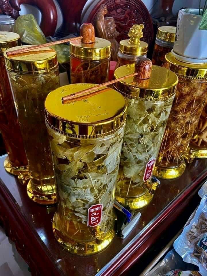 hộp trà lá sâm ngọc linh khô 100g