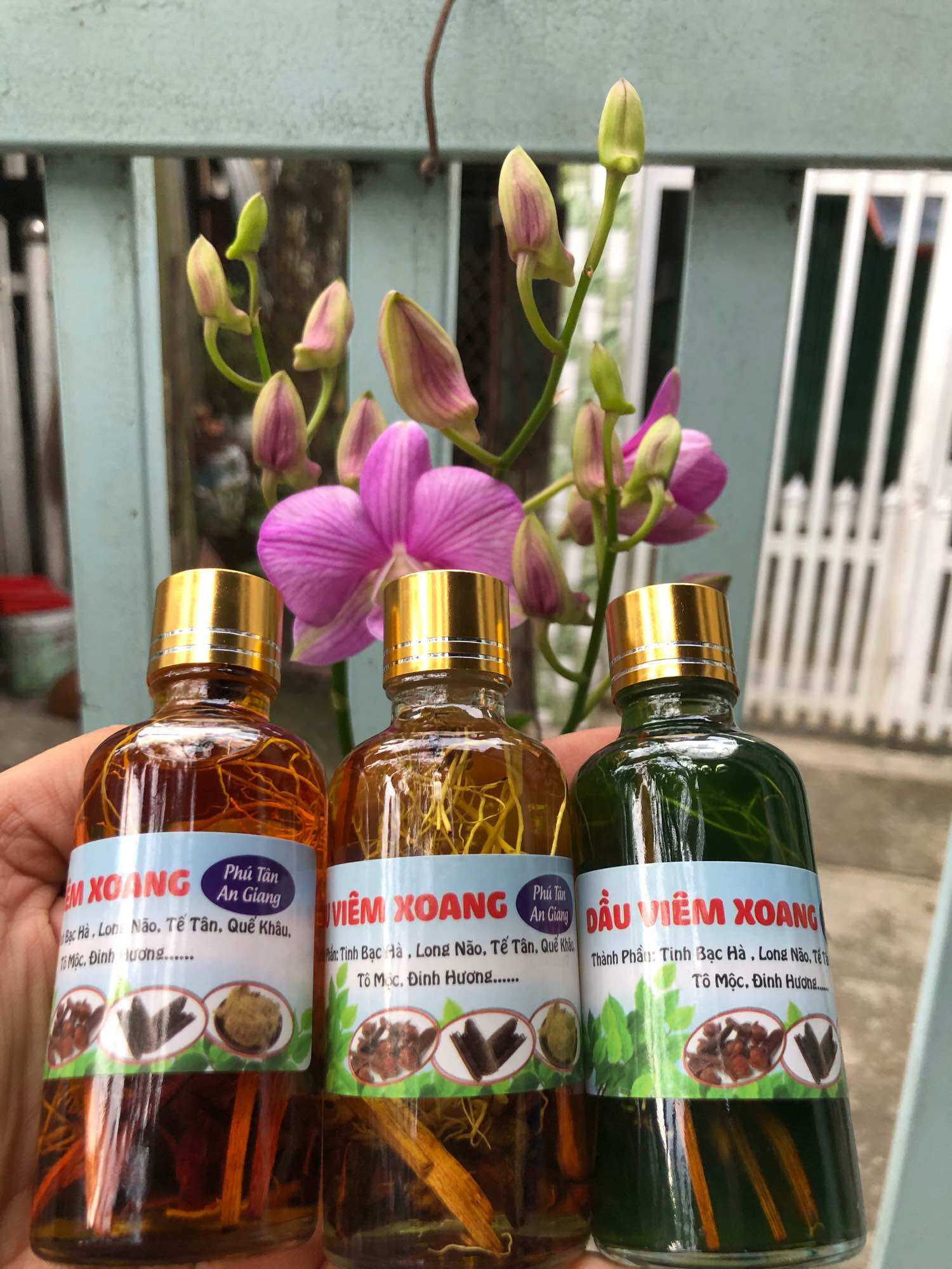 DẦU VIÊM XOANG XANH 50ML (RỄ THUỐC )