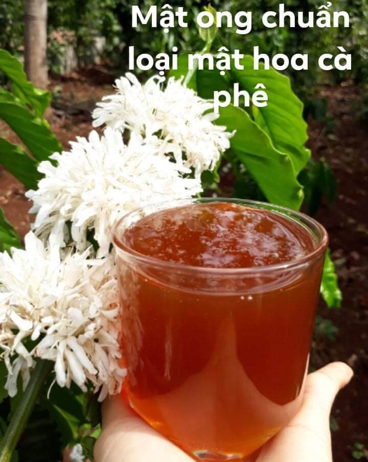 Hoa đu đủ đực tươi ngâm mật ong ( mật ong hoa cà phê Đaklak)