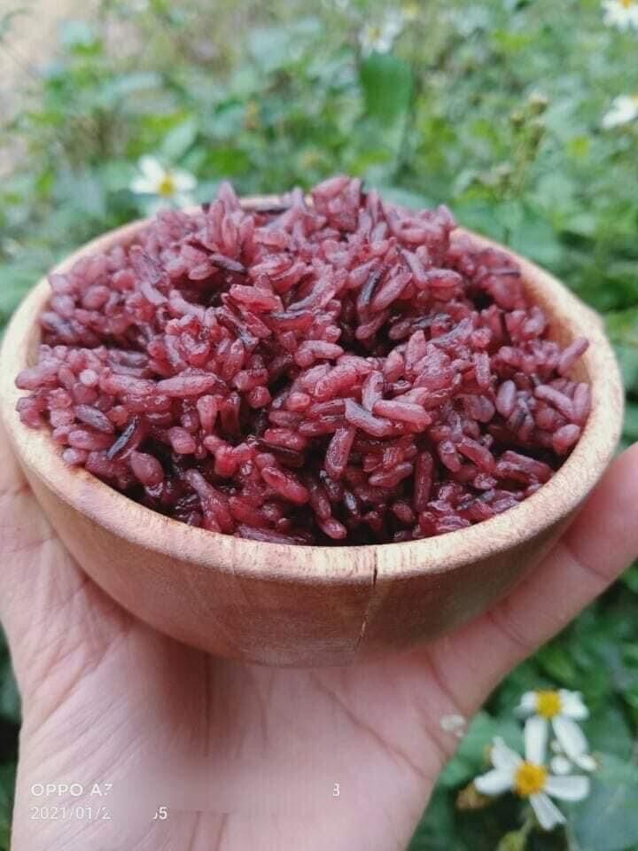 Gạo nương mèo - Đặc sản Tây Bắc