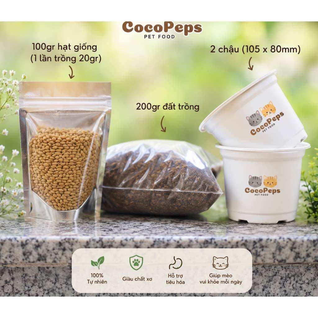 Cỏ mèo tươi - Set trồng cỏ mèo, hạt giống cỏ mèo giúp mèo tiêu búi lông