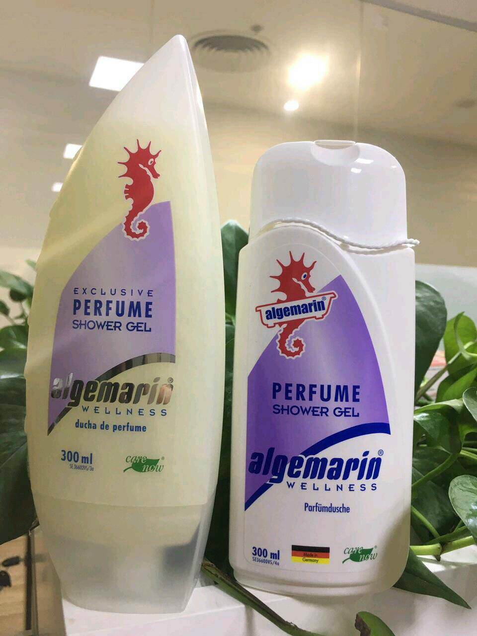 Sữa tắm cá ngựa , hàng đức