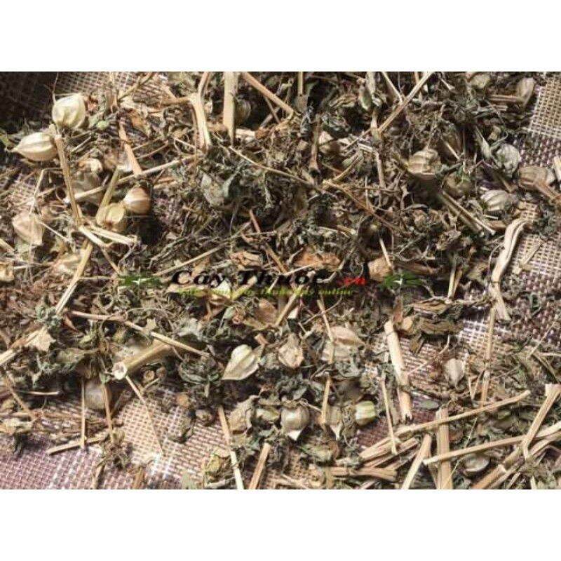 1kg cây tầm bóp khô ( cây thù lù, lồng đèn ,bôm bốp)