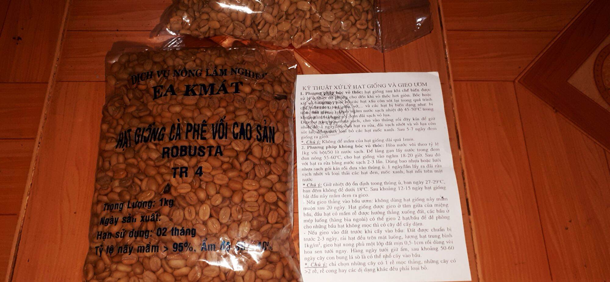 1KG Hạt giống cà phê TR4