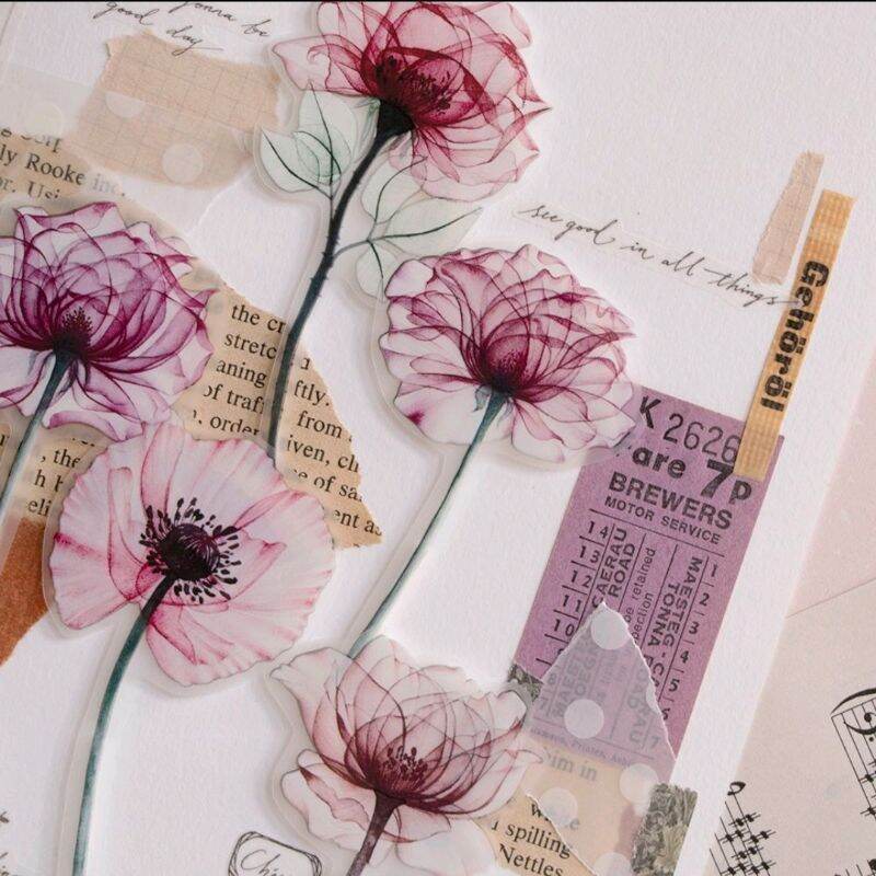 Chiết 1 chu kì washi Touming_Loidesign