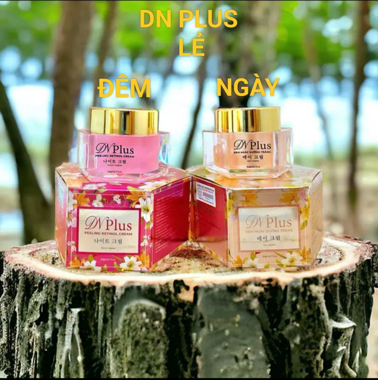 Combo Cặp Kem DN Plus Ngày và Đêm cải tiến thích hợp mọi loại da