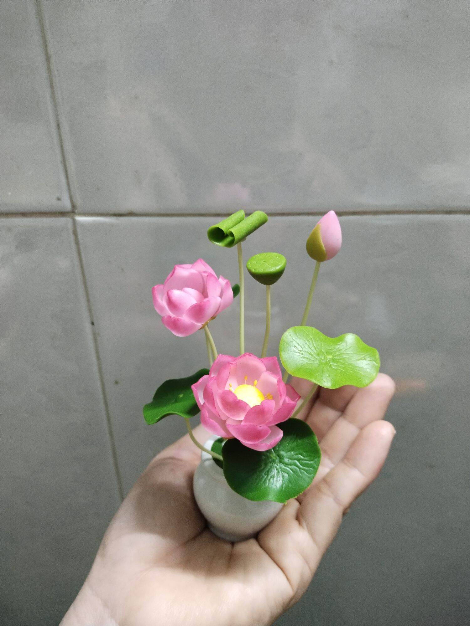 Chậu hoa sen mini cao 12 đến 13 cm