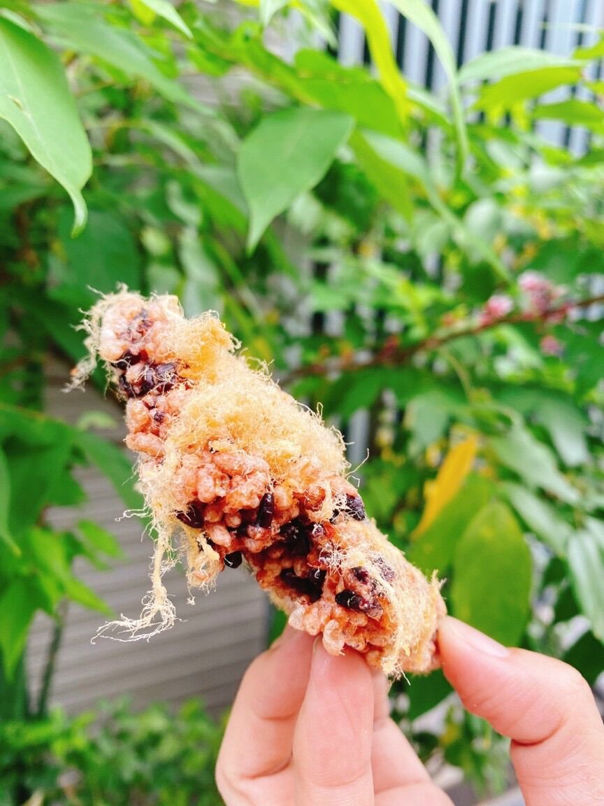 Cơm cháy gạo lức siêu chà bông