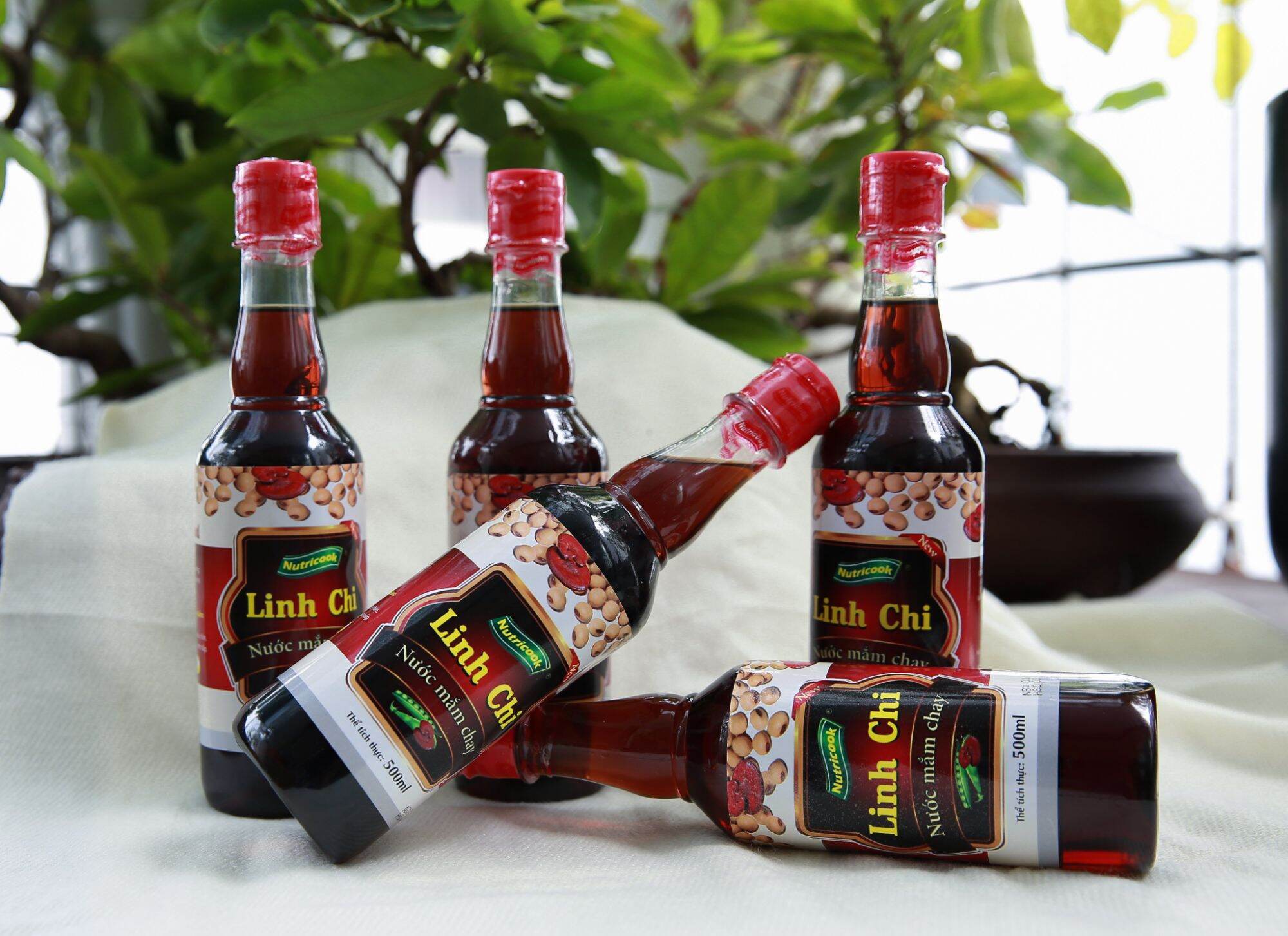 Nước Mắm Chay Linh Chi 1 Lít. 500ml.300ml