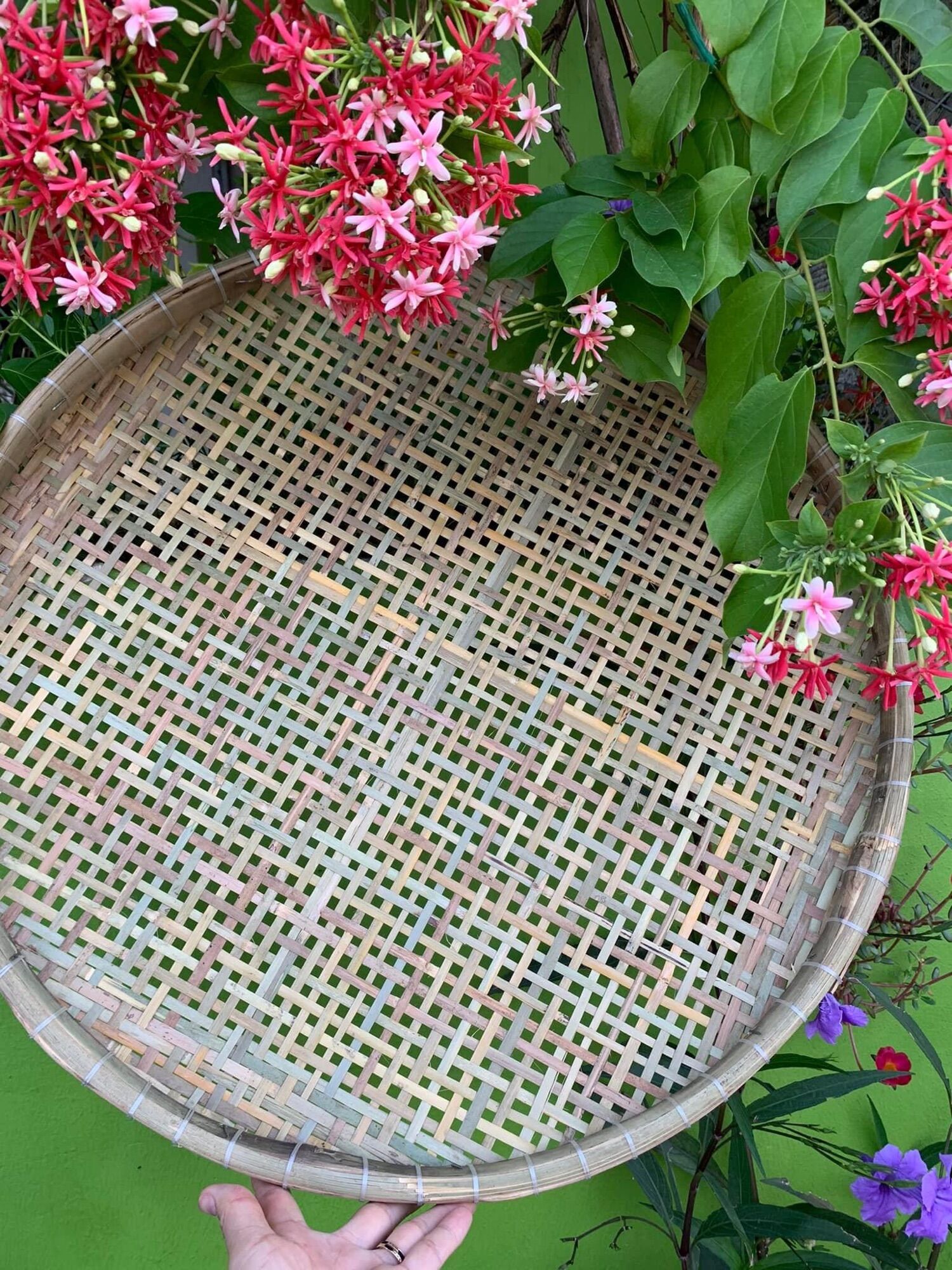 Sàng xịa cật tre