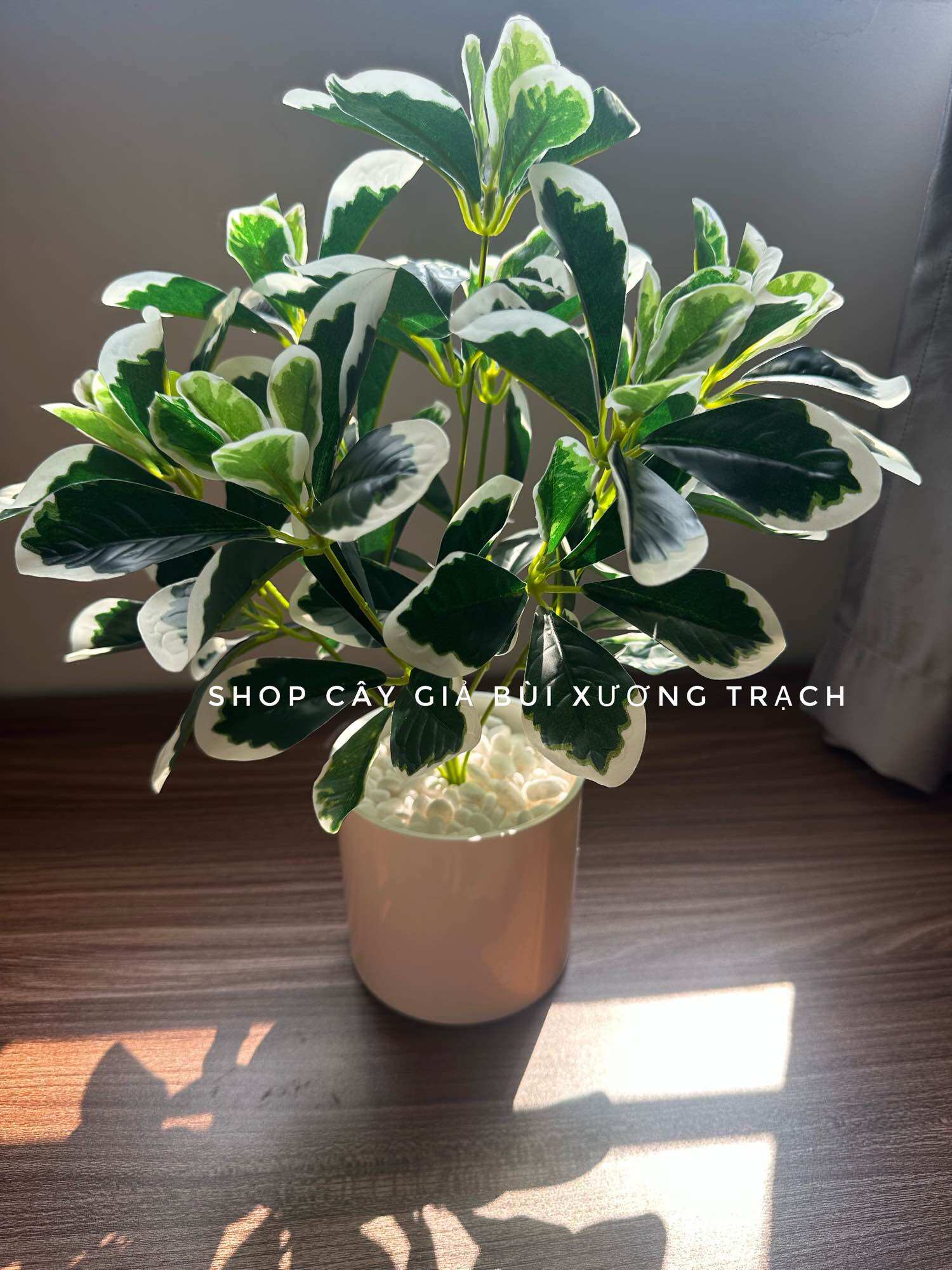 Chậu cây giả để bàn - chậu cây cẩm thạch 40cm