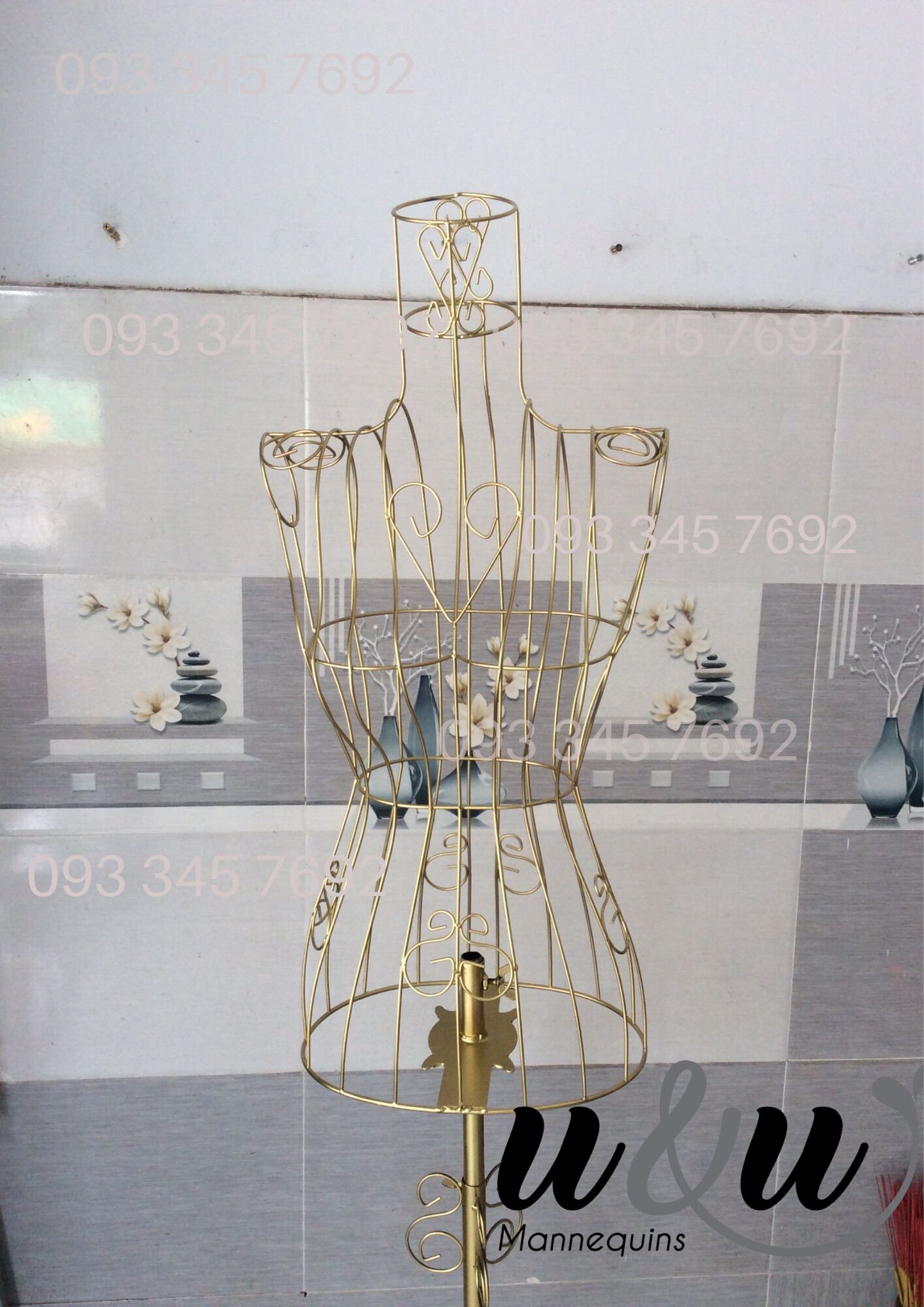 Manocanh sắt nữ vàng đồng (hình thật)