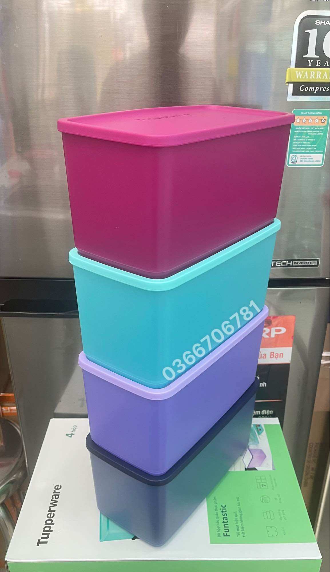 Bộ Hộp Trữ Mát Funtastic 3.1L (MÀU NGẪU NHIÊN)