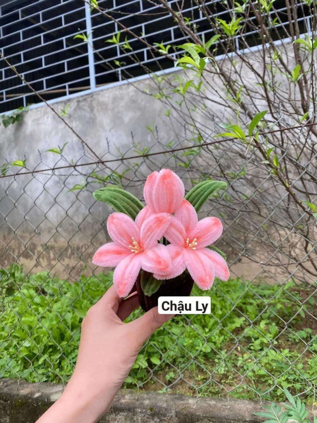 ( kèm túi đựng)chậu hoa kẽm nhung làm sẵn