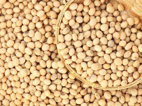 Đậu nành hạt 1 kg