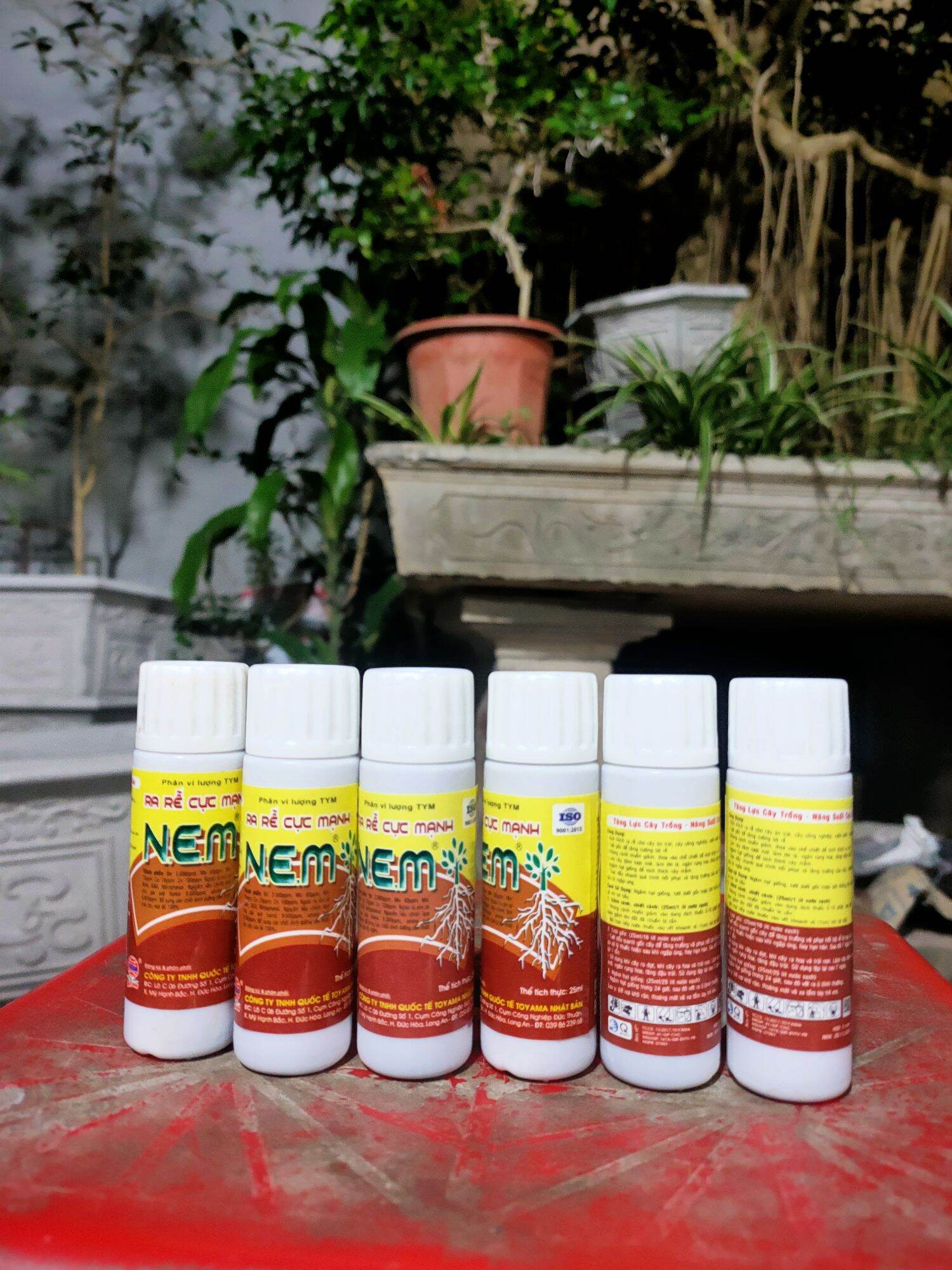 siêu ra rễ n3m  giâm cành, chiết cành [ 25 ml ]
