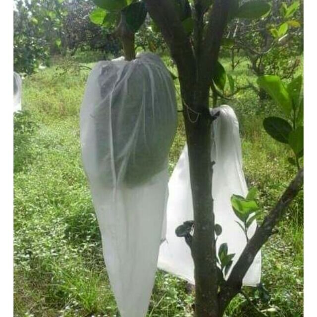 50 túi bọc mít (50x70) không thấm nước