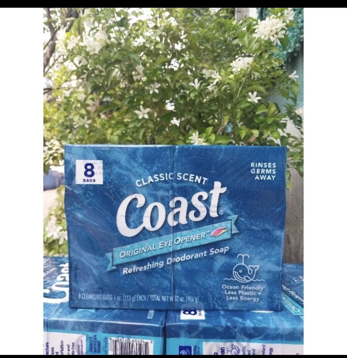 Lốc 8 xà bông cục coast mỹ