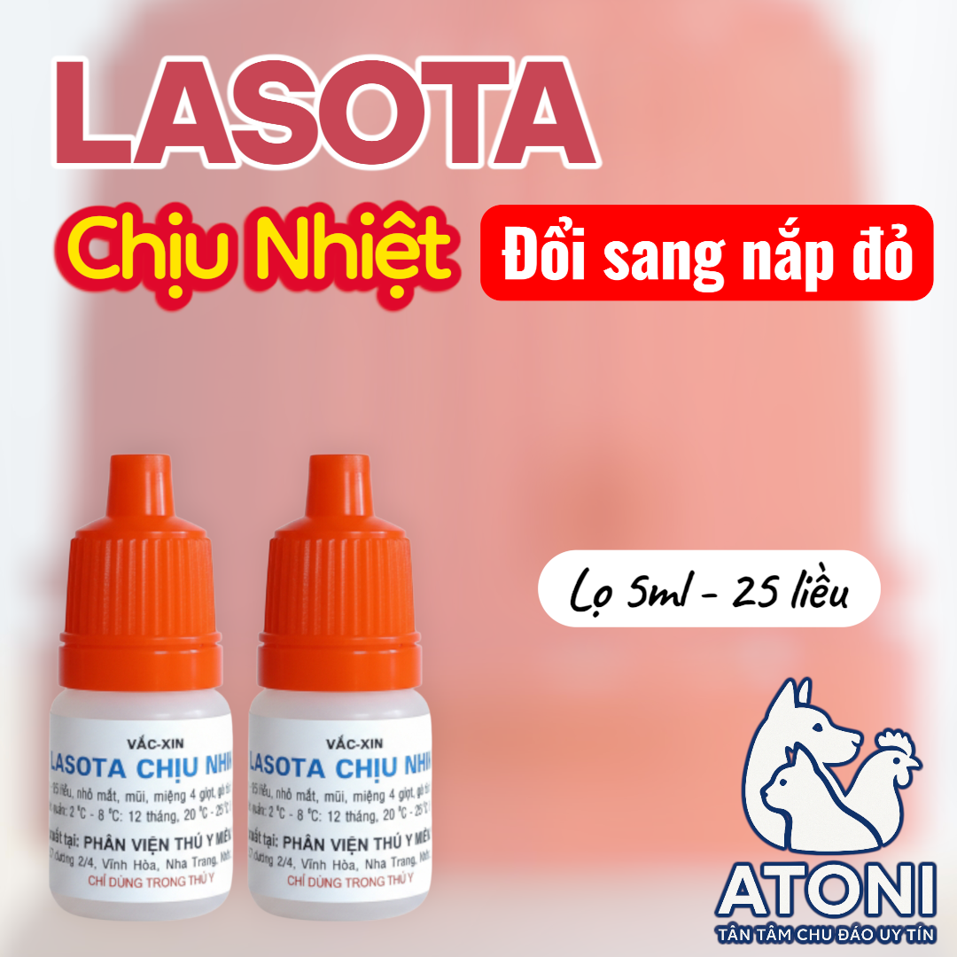 Lasotha lasota giá rẻ Tháng 6,2026 | BigGo Việt Nam