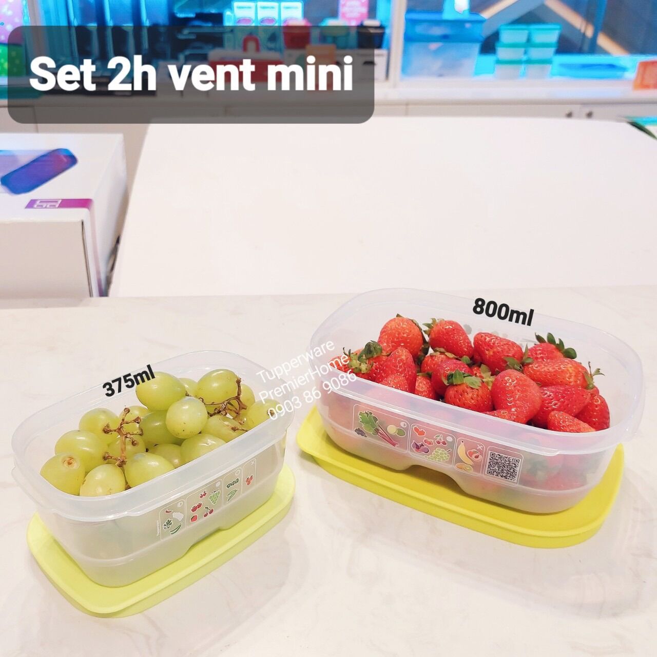 Set 2 Hộp Trữ Mát Có Nút Hô Hấp Vensmart (375ML, 800ML)