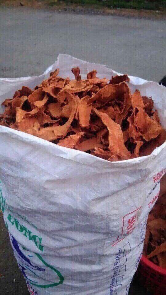 500g tầm gửi nghiến khô