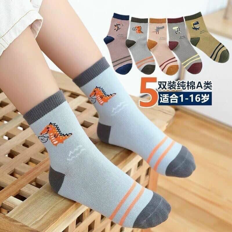 Sét 10 đôi vớ tất trẻ em cổ cao họa tiết khủng long.tất bé trai đẹp
