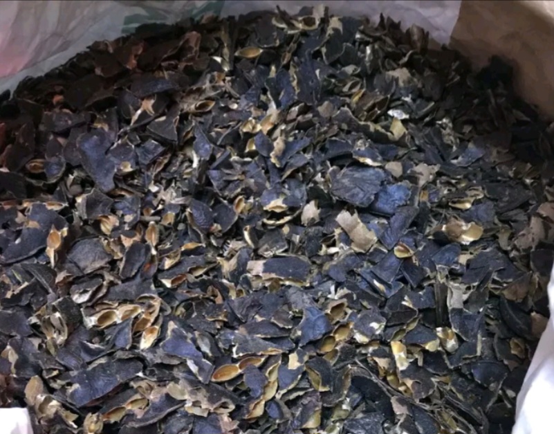 Bồ Kết nướng bỏ hạt 100g ( tặng kèm túi lọc )