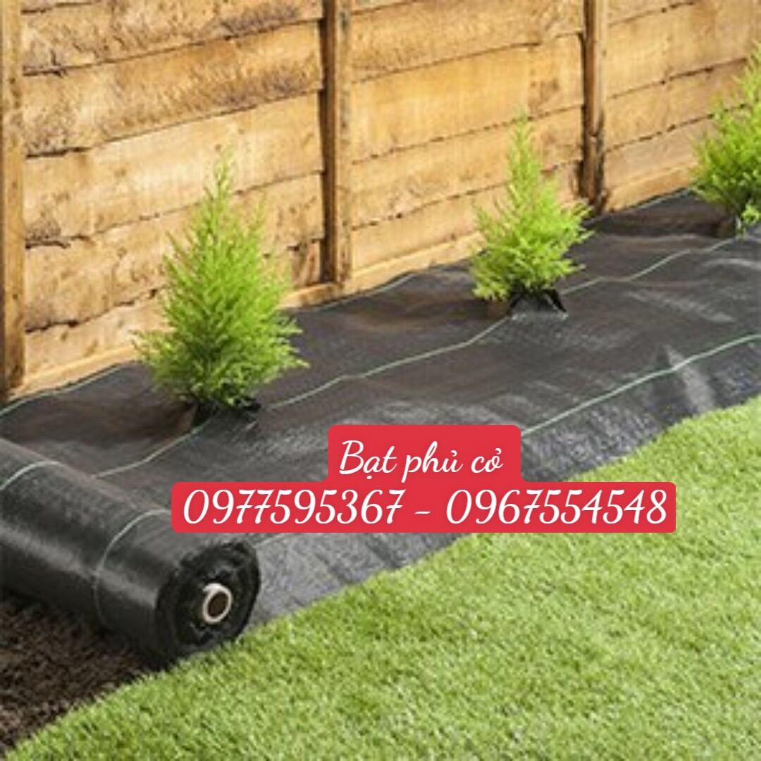 Bạt phủ chống cỏ 60cm x 200m