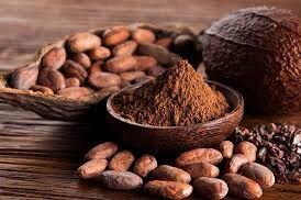 Bột cacao van houten 100% ca cao nguyên chất không đường 255g - ảnh sản phẩm 2
