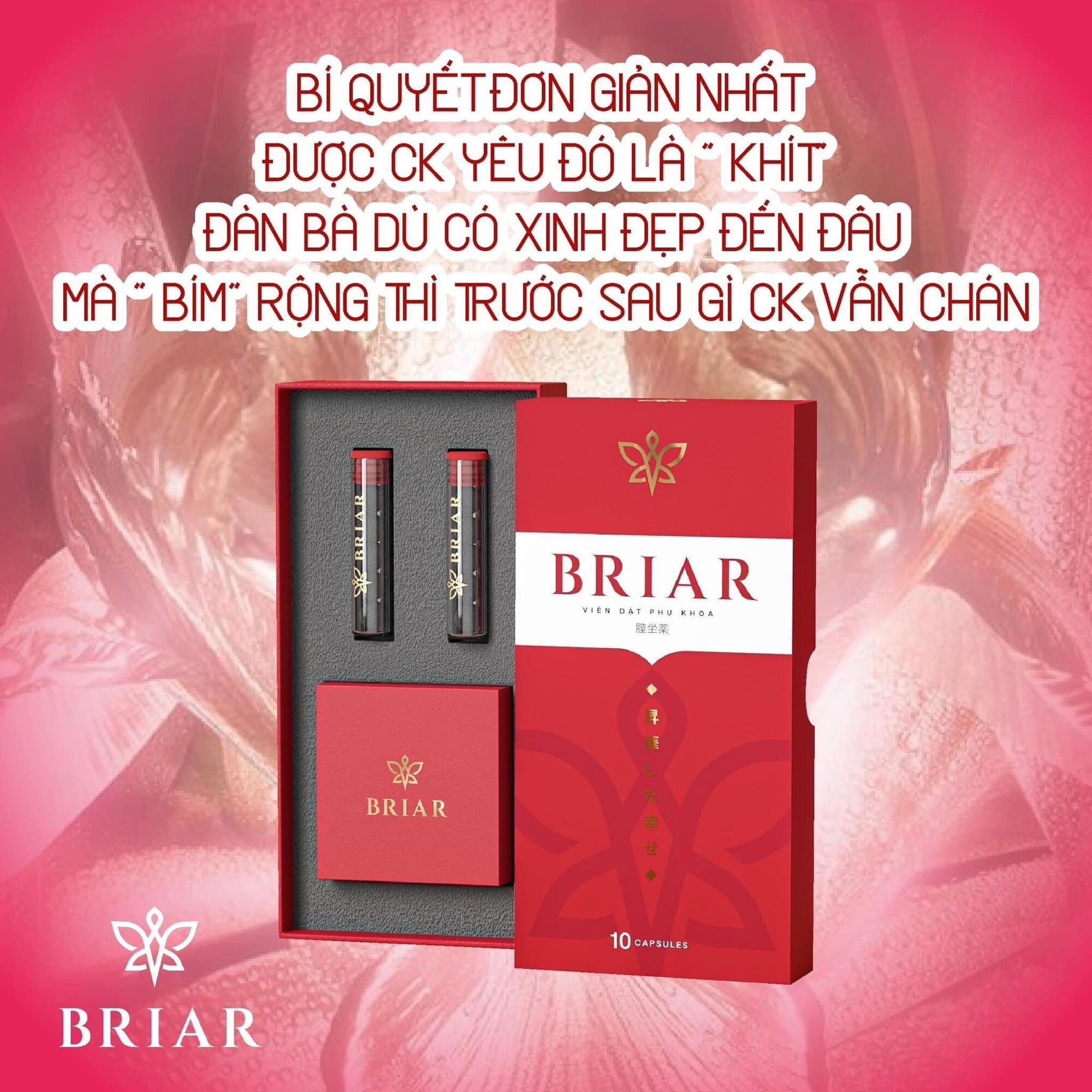 Viên Đặt thảo Mộc Briar Chính hãng