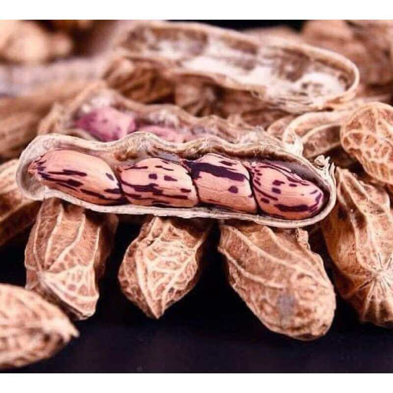 Lạc vằn lạc hoa mèo 500g -1kg