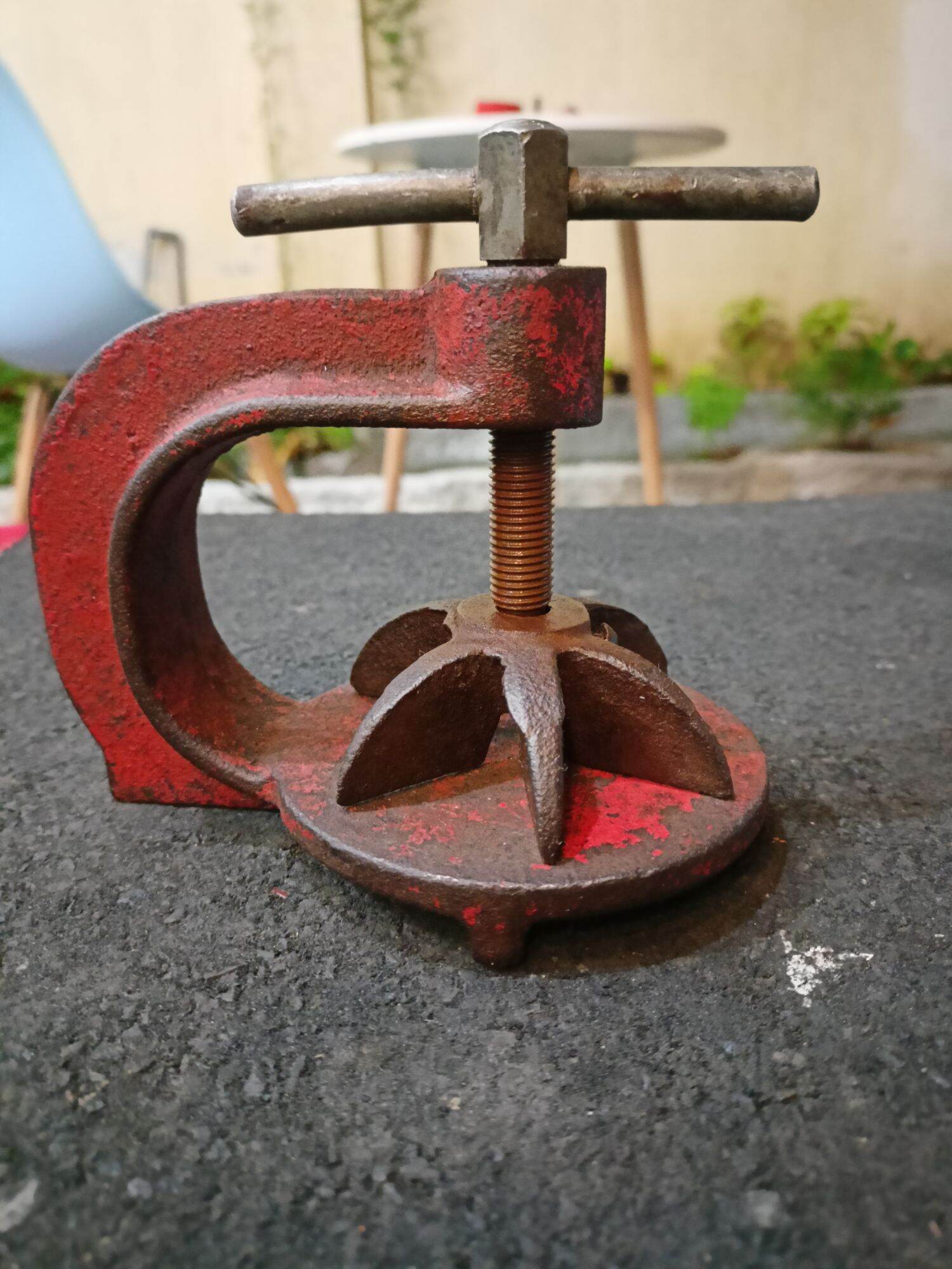 Cảo cùm trái khế hàng Nhật Bãi