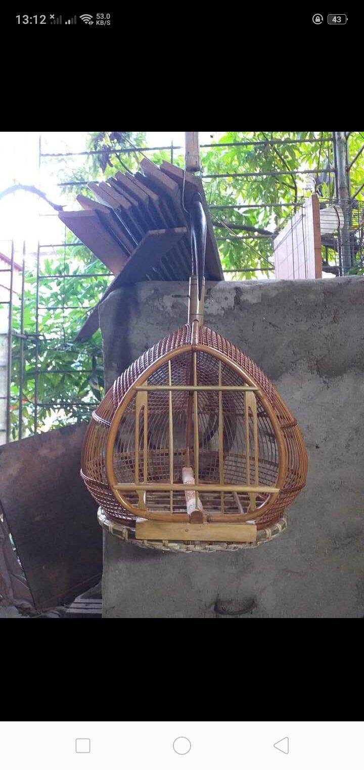 lồng chim g&aacute;y