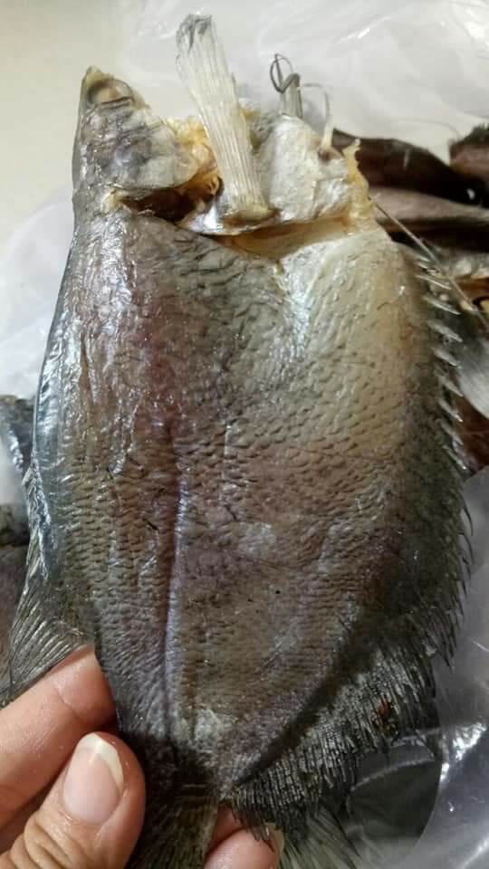 Khô Sặc rằn 1 kí (loại 14 con) đặc sản U Minh Cà Mau