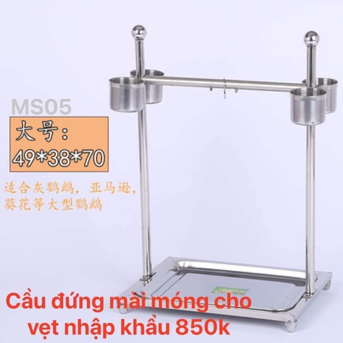 Cầu đứng nhập khẩu cao cấp mài móng cho vet