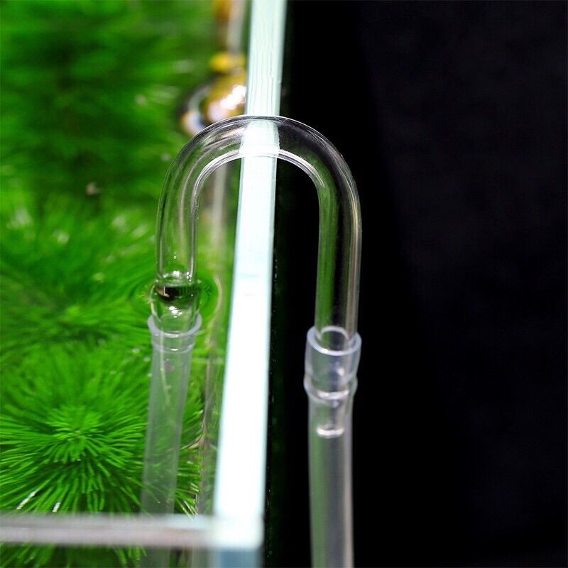 Co chữ U chống gập dây oxy/co2 thuỷ tinh