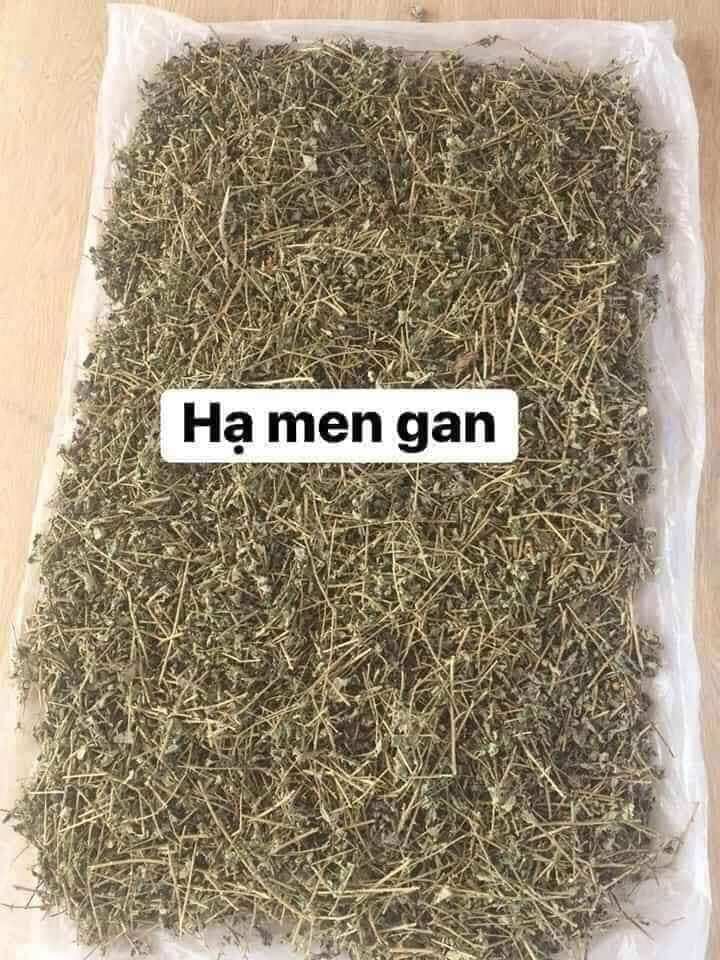 Cây cà gai leo khô (0.5_5kg)