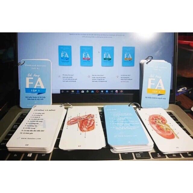 Combo sổ tay FA//Combo flashcardanatomy tiếng Việt