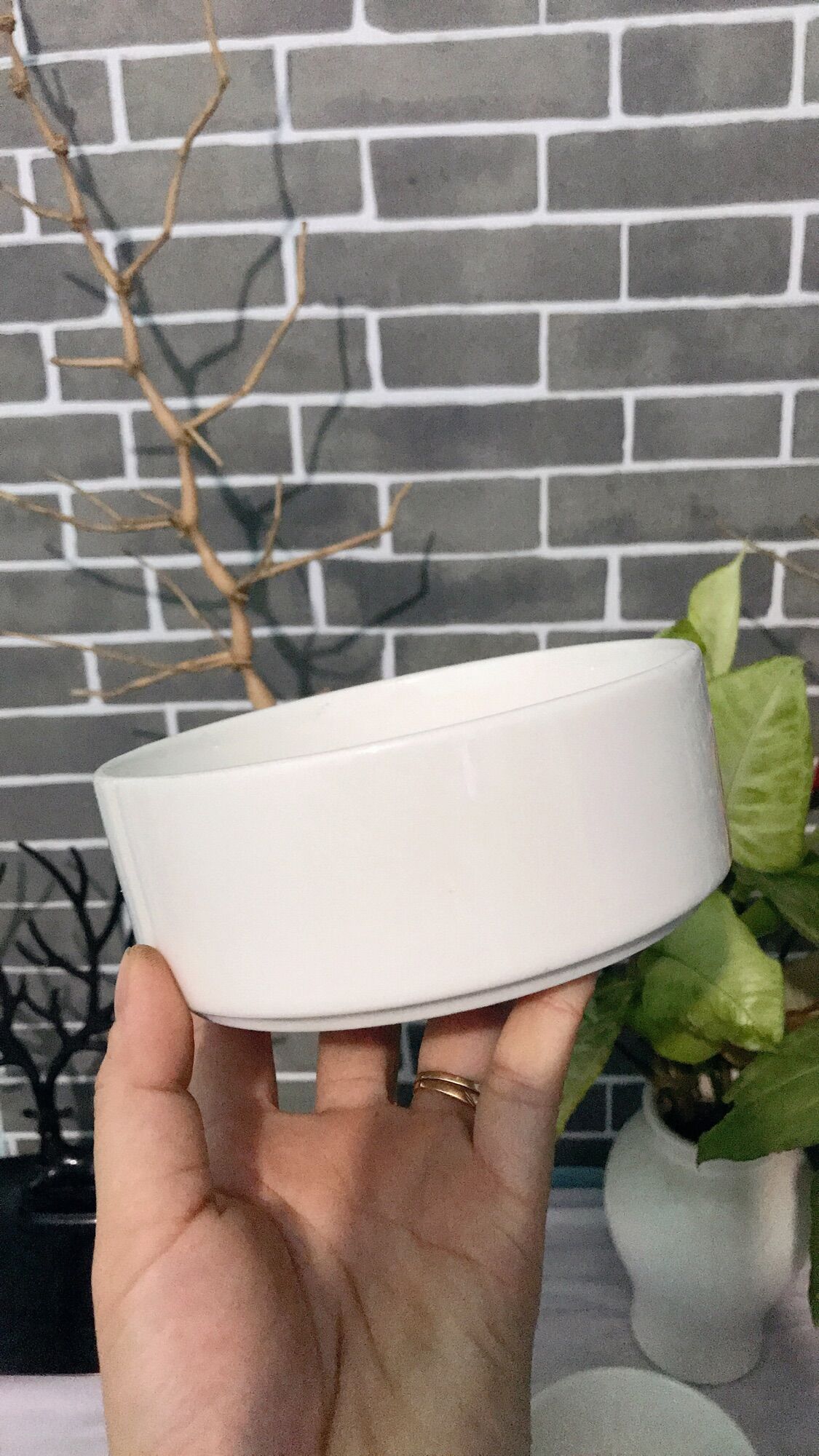 Bộ 2 chậu sứ trắng trồng cây
