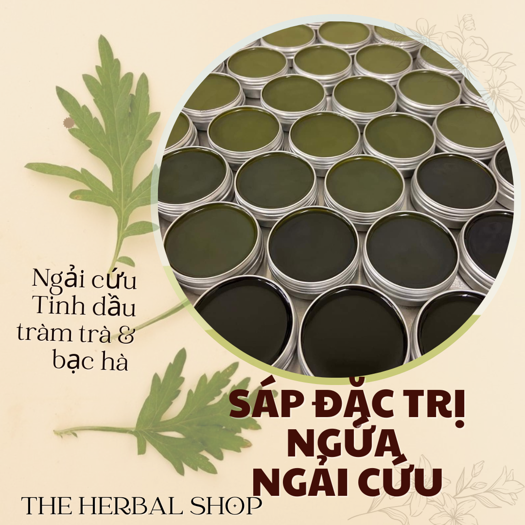 Sáp ngải cứu dập ngay cơn ngứa chàm, viêm da bạc hà 5g , sáp mugwork anti eczema the herbal shop