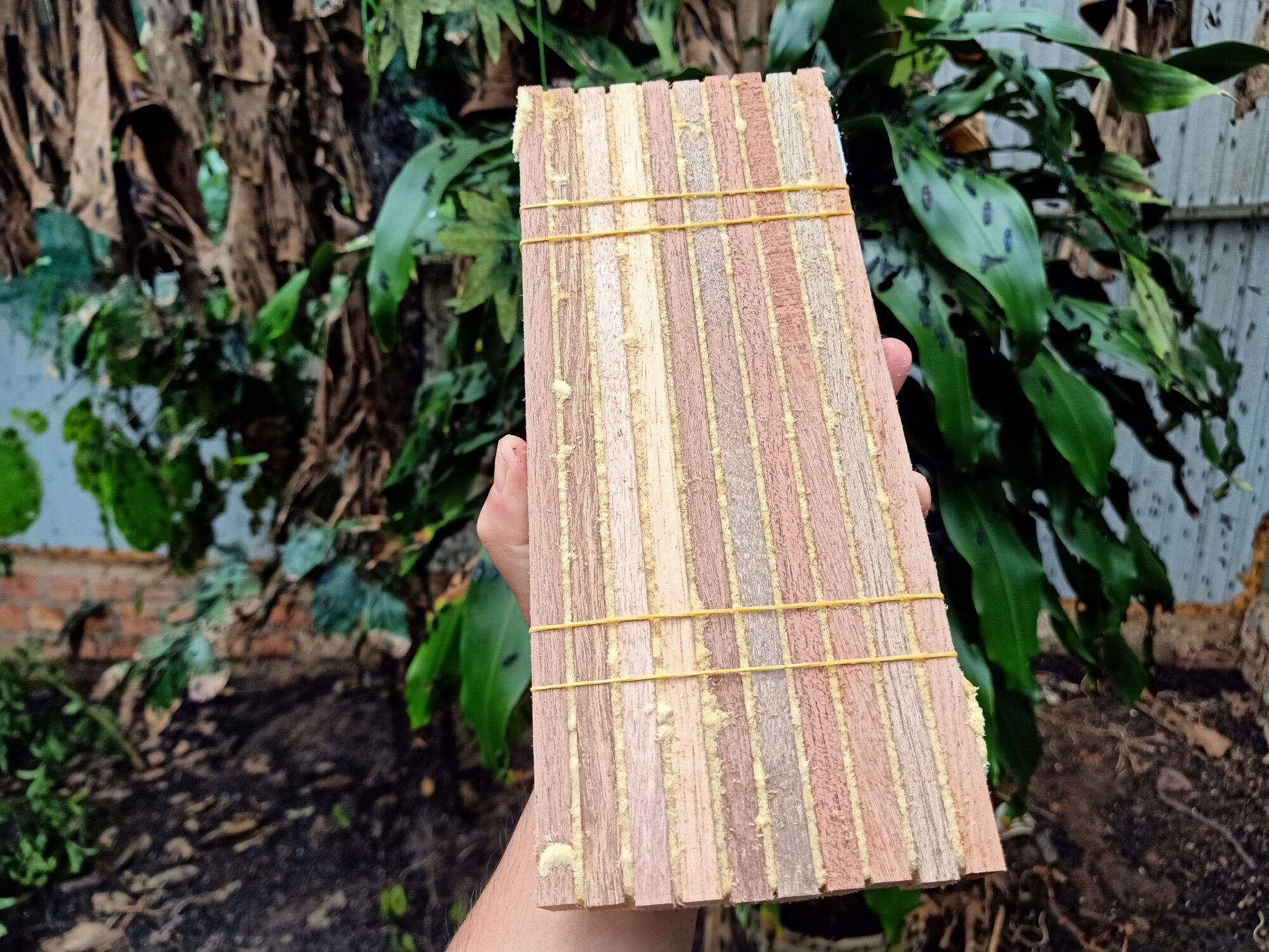 Thanh Ổ Đẻ cho Ruồi Lính Đen loại thường