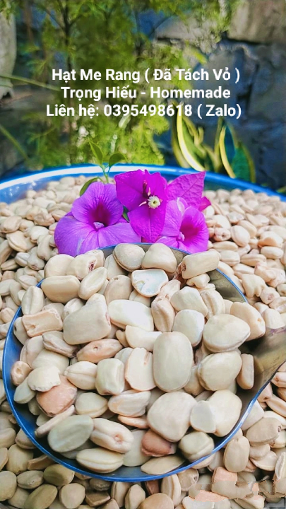 Hạt me rang ( đã tách vỏ)  Hạt me nấu chè (1kg)