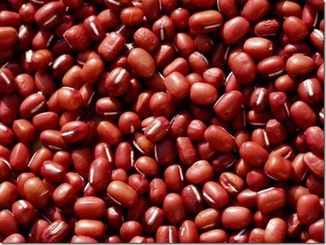 500Gr Đậu Đỏ Hạt Nhỏ Thuần Chủng Đắc Lắc