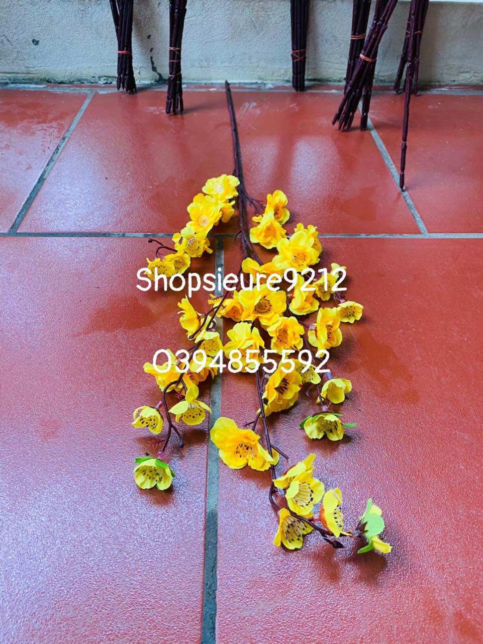 Hoa/cành đào-mai trang trí lễ Tết