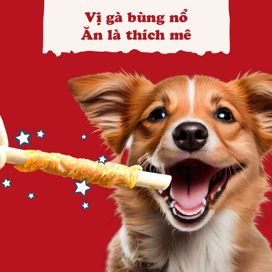 Snack cho chó que cuốn thịt gà Doggyman 10 cây